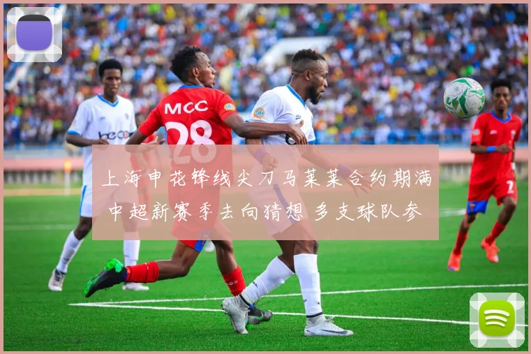 上海申花锋线尖刀马莱莱合约期满 中超新赛季去向猜想 多支球队参与争夺