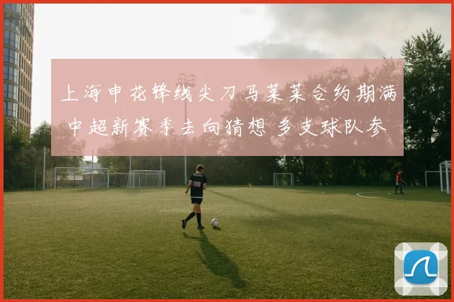 上海申花锋线尖刀马莱莱合约期满 中超新赛季去向猜想 多支球队参与争夺